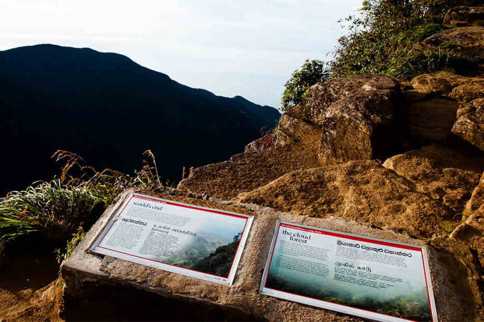 In einem Nationalpark in Sri Lanka kam die Deutsche ums Leben. (Symbolbild)