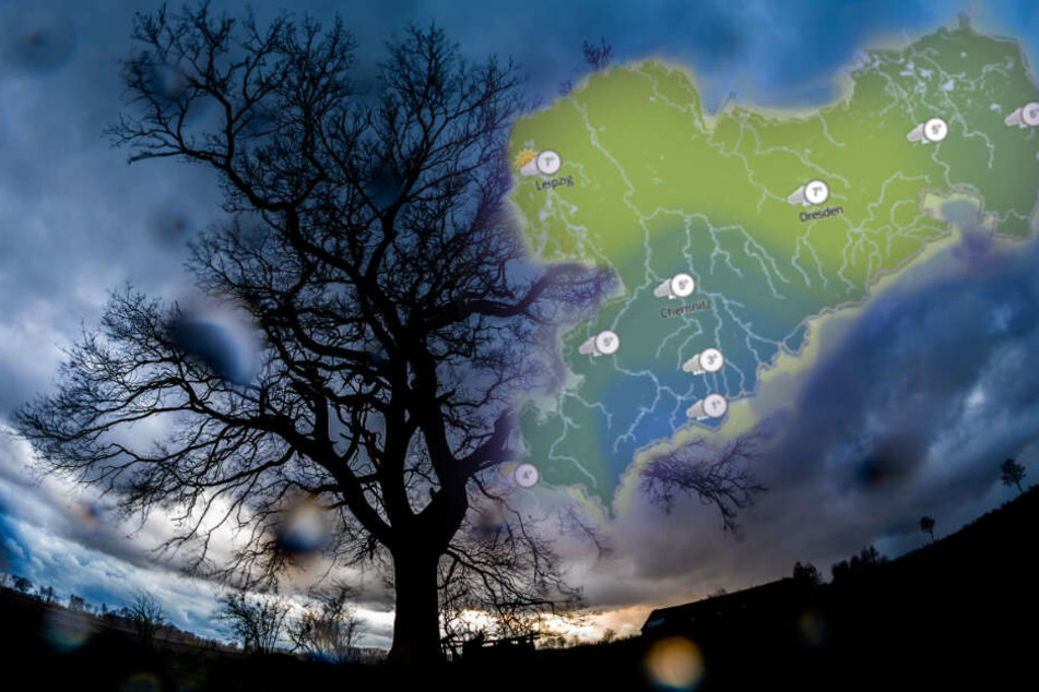 Nass und bewölkt: So sieht aktuell der Frühling in Sachsen aus. (Bildmontage)