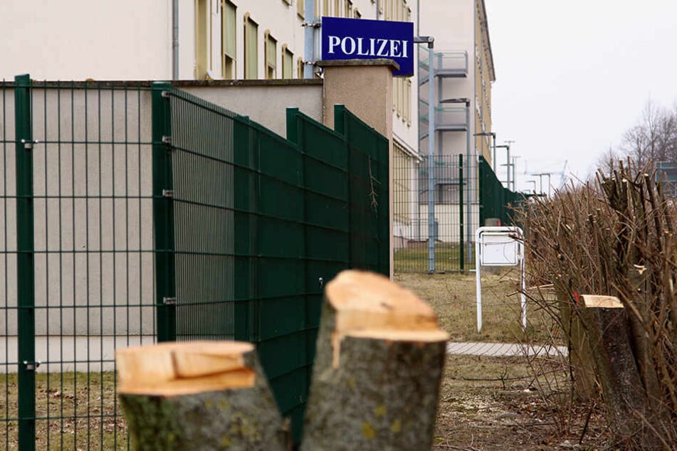 Auch am Polizeirevier Nord wurden Bäume gefällt.