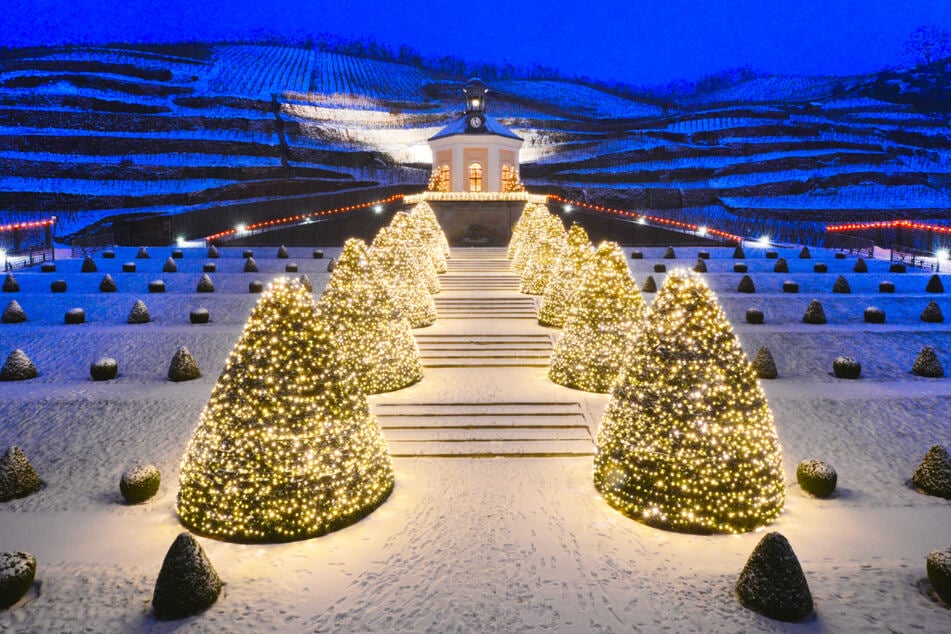 Das sind die schönsten Weihnachtsmärkte und Winter-Highlights rund um Dresden