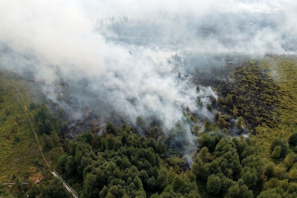Mega-Waldbrand an NRW-Grenze: Lage auf deutscher Seite hat sich entspannt