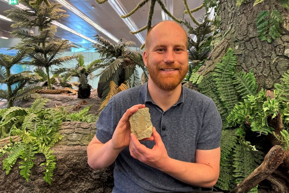 Stephan Spiekman stellt ein Mirasaura-Fossil aus der Dauerausstellung im Naturkundemuseum Stuttgart vor.