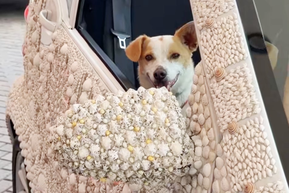 Nicht nur Elena selbst scheint gern mit ihrem "Muschel-Auto" unterwegs zu sein - auch ihr kleiner Hund Jerry ist stets mit an Bord.