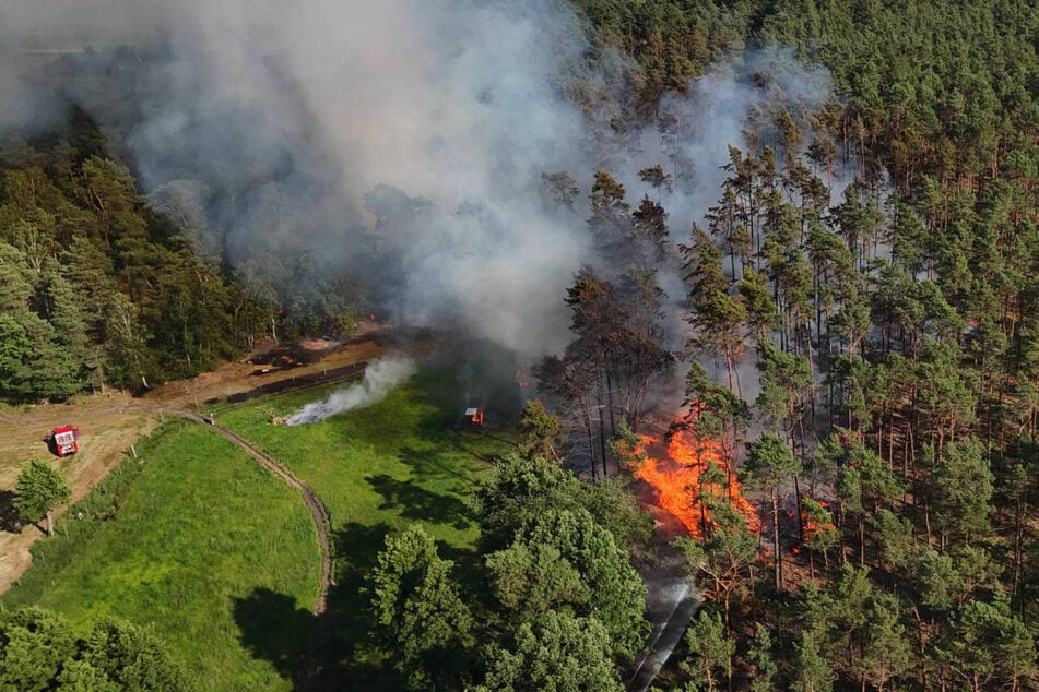 In Schönberg standen am Samstag 1,7 Hektar Wald in Flammen - es war in Brandenburg bereits der 145 Waldbrand in diesem Jahr.