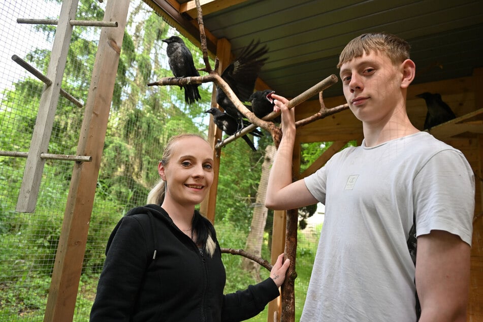 Jenny Dobrocki (32) und Sohn Leon Weinhold (14) kümmern sich um verletzte Wildvögel - hier in einer Voliere auf dem Nachbargrundstück.