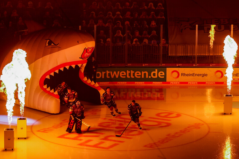 Noch alles drin: Bei noch acht ausstehenden Partien liegen die Kölner Haie aktuell nur drei Punkte hinter dem Tabellenvierten Grizzlys Wolfsburg. (Archivfoto)