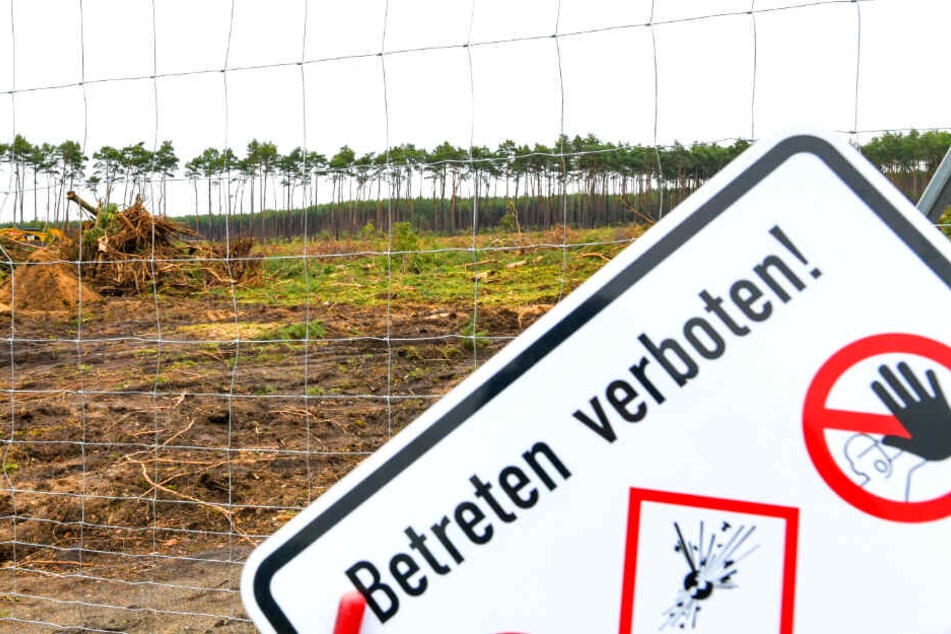 Tesla darf weiter roden: Umweltschützerinnen von Bäumen runter geholt