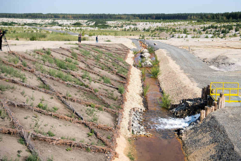 Wasser läuft über einen Graben hinab zur einstigen Kohlegrube. In den kommenden fünf bis sieben Jahren werden 24,3 Millionen Kubikmeter in den See fließen.