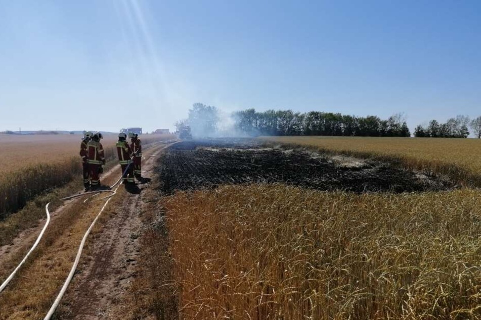 Die Feuerwehr löschte das Feld.