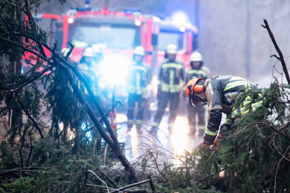 Die Einsatzkräfte haben in Bayern alle Hände voll zu tun.