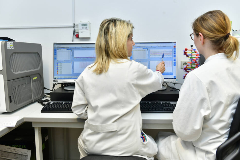 Im Labor des Landesgesundheitsamts werden eingeschickte Proben von Patienten untersucht.