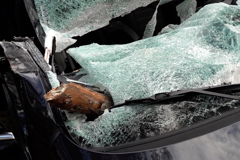 Die Äste des Baums durchbohrten die Windschutzscheibe des Autos.