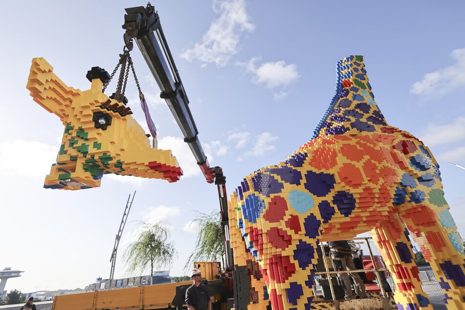 Das neue Maskottchen des deutschlandweit ersten LEGO Discovery Centres der neuen Generation ist am Mittwoch in Hamburg aufgebaut worden.