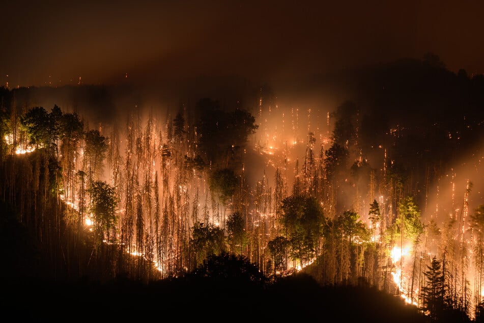 Für das Jahr 2023 wurden in Sachsen weniger Waldbrände verzeichnet als noch 2022. Damals loderten die Flammen auch im Nationalpark Böhmische Schweiz. (Archivbild)