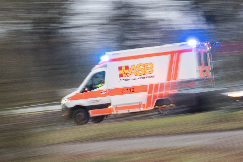 Bus rast ungebremst in Reiterin! 15-Jährige schwer verletzt, Pferd tot