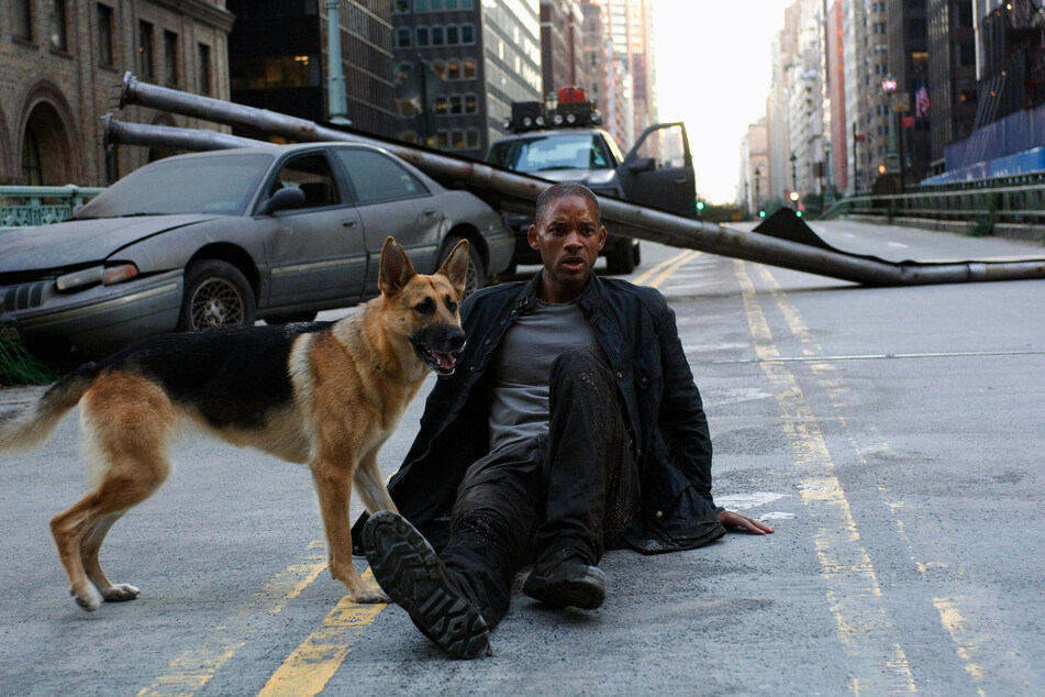 I Am Legend follows Smith's character, Dr. Robert Neville, living alone in New York City with his dog after a virus wipes out most of humanity and leaves the world crawling with zombies.