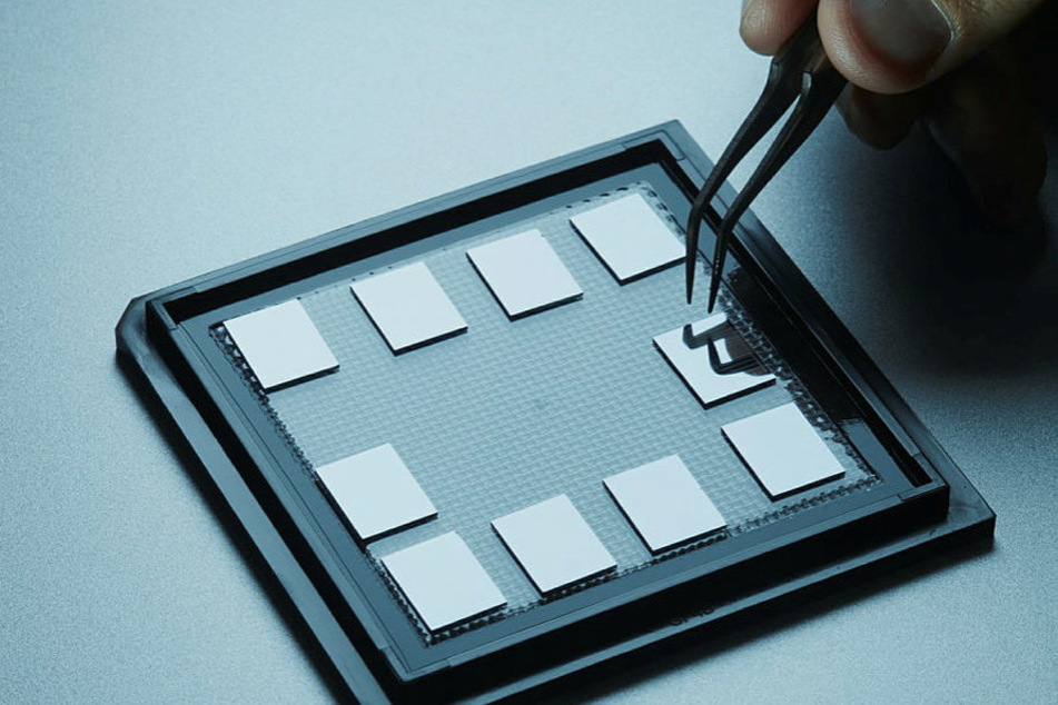 Zehn Prozessoren im Gel-Pak: Optische Chips rechnen ohne Elektronik mit Laserlicht.