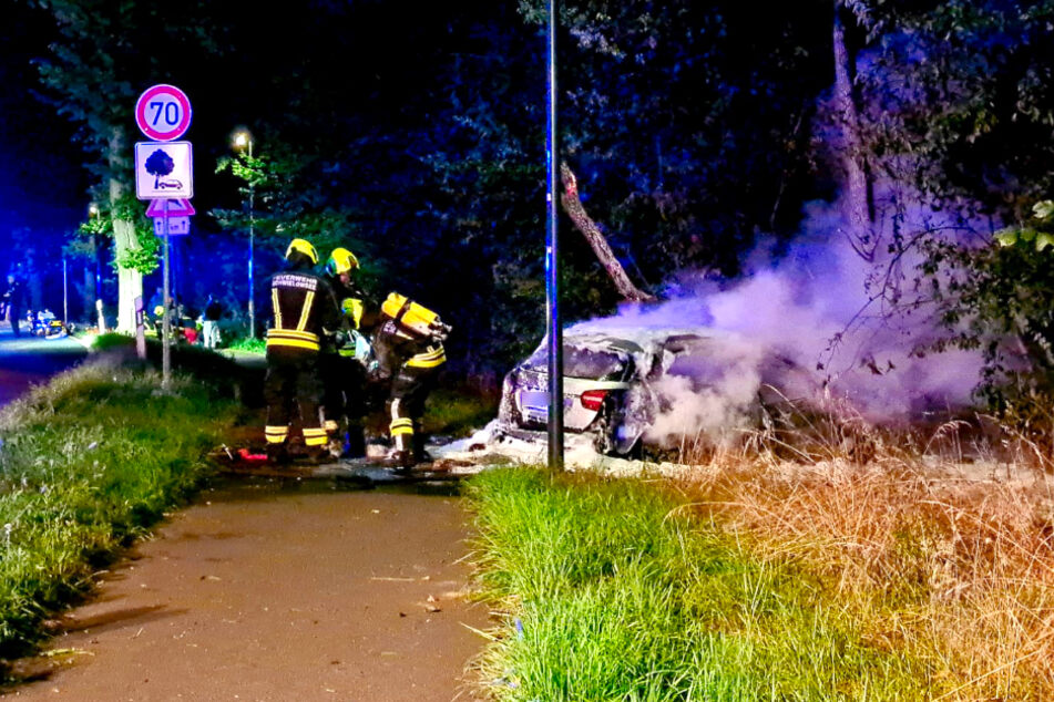 Fünf Jugendliche (13 bis 17) sind in der Nacht zu Donnerstag gegen einen Baum geknallt.