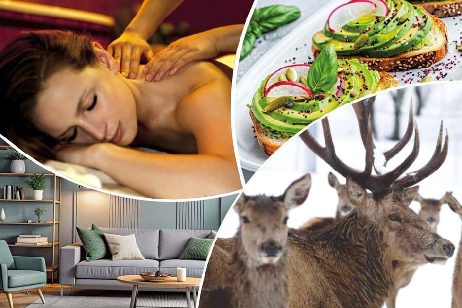 Die SZ-Weihnachtsauktion läuft noch bis Sonntag (16.11.) und bietet viele beliebte Angebote.