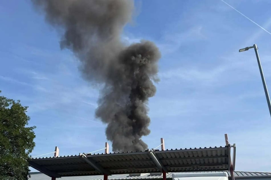 Der Rettungsdienst und die Feuerwehr waren mit mehreren Fahrzeugen im Einsatz. (Symbolbild)