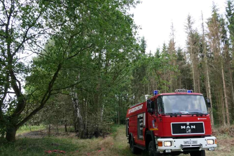 Die Feuerwehr konnte die Flammen schnell unter Kontrolle bringen. Die Ursache für das Feuer ist noch unklar.