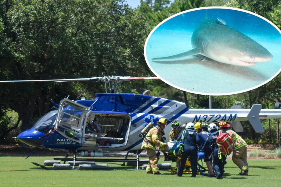 Triple shark attack in Florida leaves teen without hand and leg on first beach trip