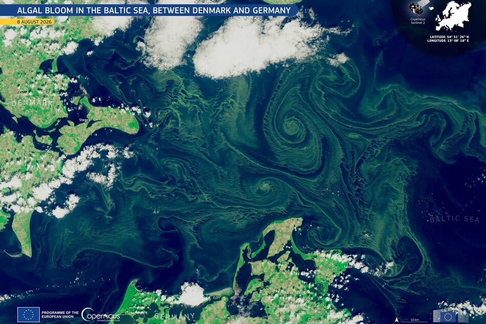 Warnungen, Gesundheitsgefahr und Badeverbote: Blaualgen an Ostsee und Seen breiten sich aus