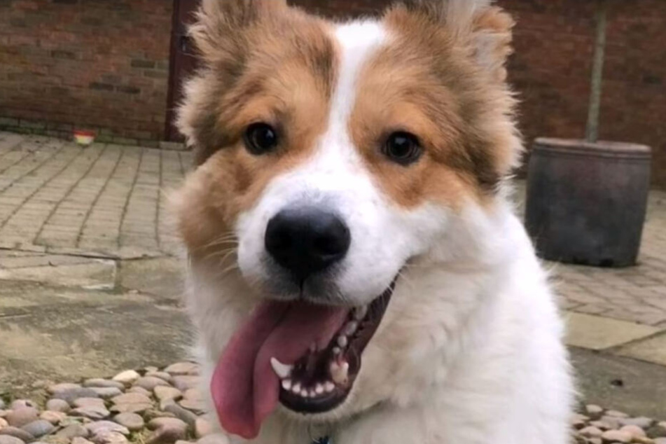 Heute ist Cooper nicht mehr wiederzuerkennen.