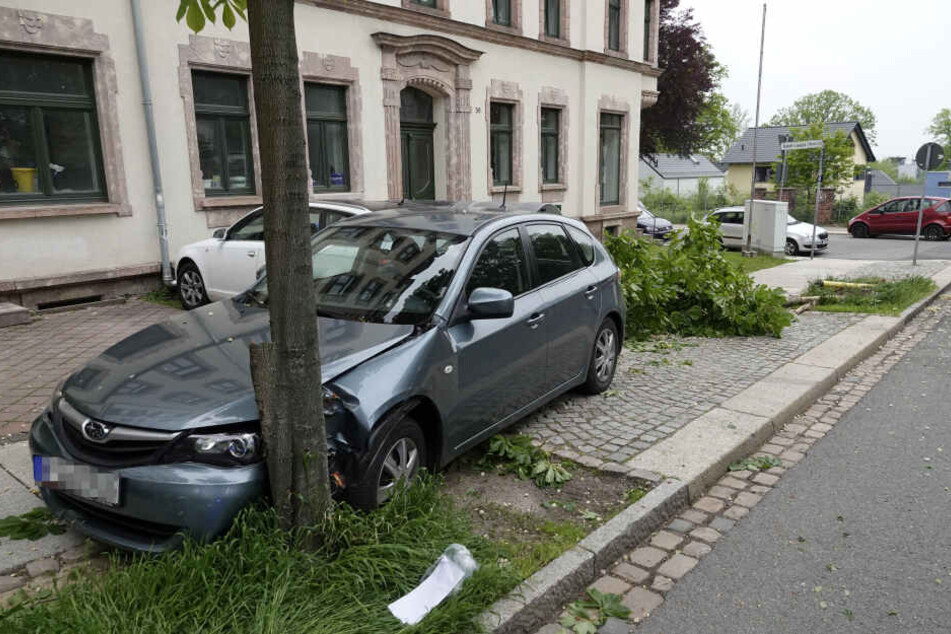 Erst an einem Baum mit einem kräftigeren Stamm kam der Subaru zum Stehen.