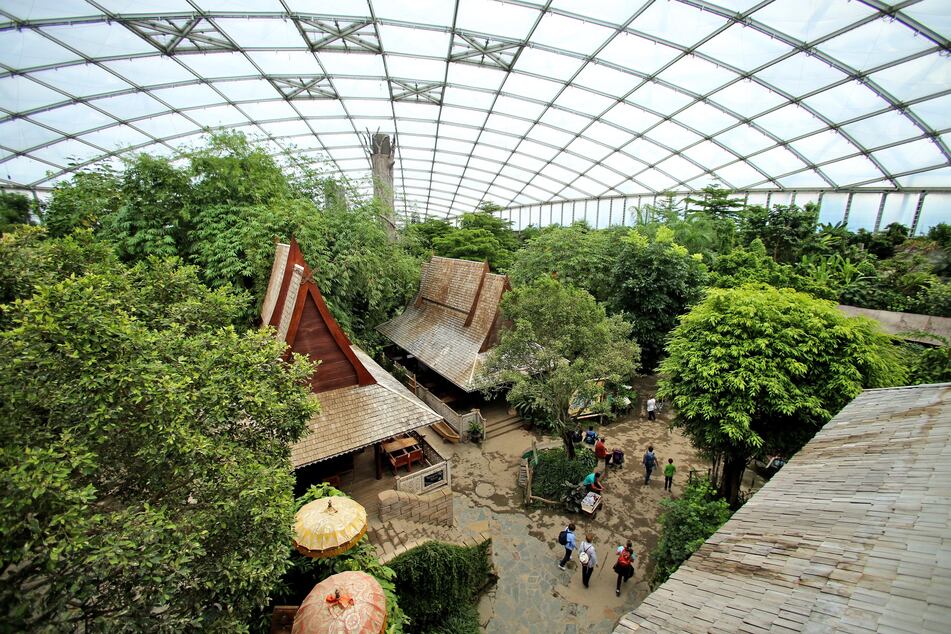 Das Gondwanaland im Zoo Leipzig kann ab sofort wieder besucht wurden. Die Sperrung ist aufgehoben.