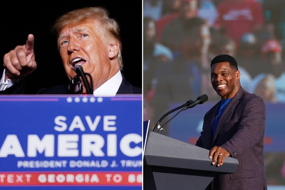 President-elect Donald Trump nominated ex-Senate candidate Herschel Walker for the role of US ambassador to the Bahamas.