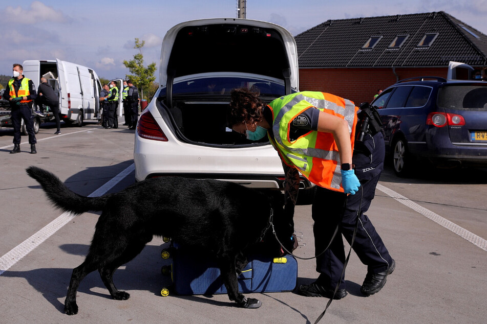 Spürhunde unterstützen die Zöllner bei der Suche.