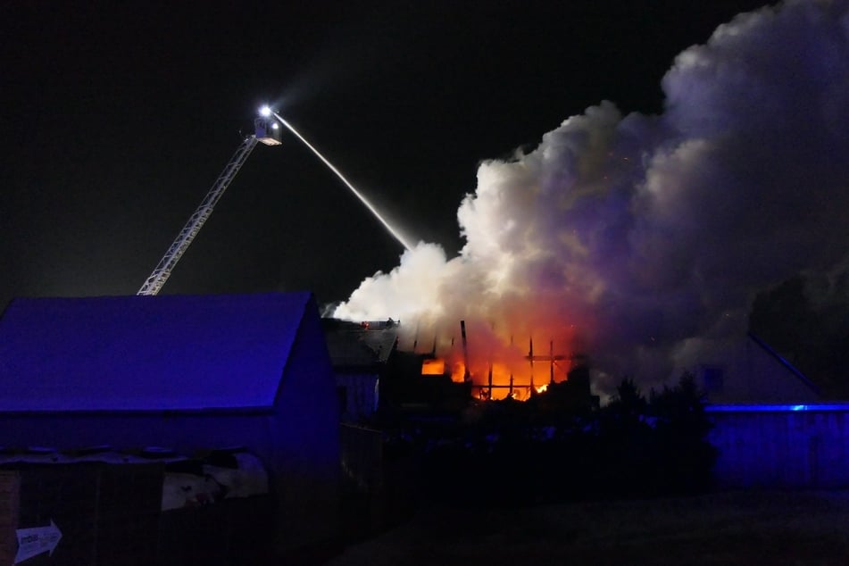 Das betroffene Haus brannte völlig nieder.