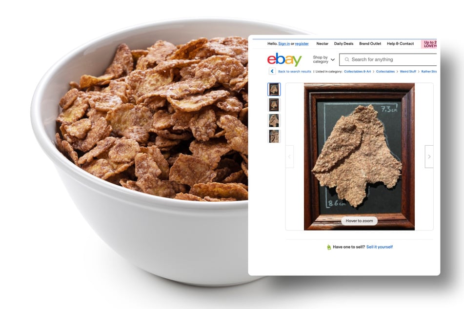Riesen-Cornflake wird auf Ebay angeboten: Verkäufer will 184.000 Euro