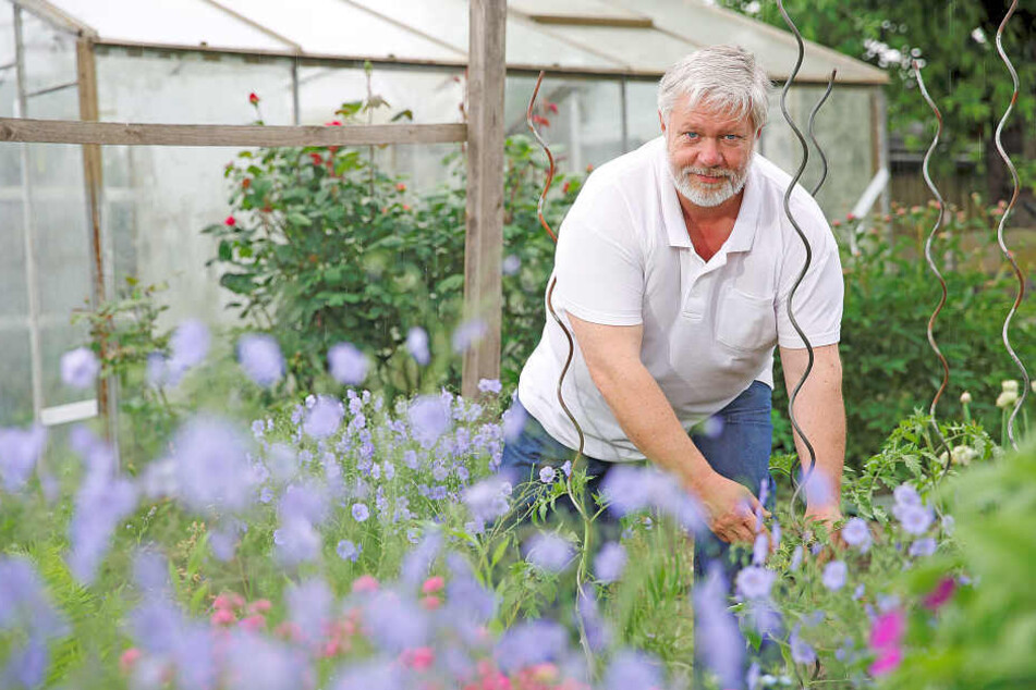 Frank Hoffmann (59) bleibt Chef des Stadtverbandes Dresdner Gartenfreunde (361 Kleingärtnervereine).