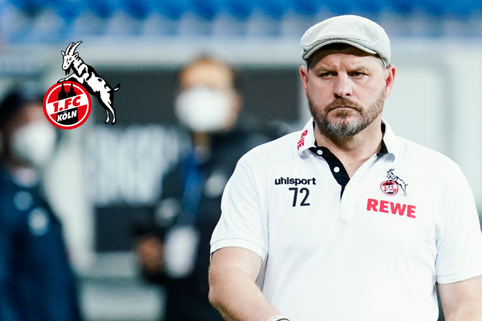 FC-Trainer Baumgart schießt gegen "bunte Schühchen" und "rappende Fußballer"