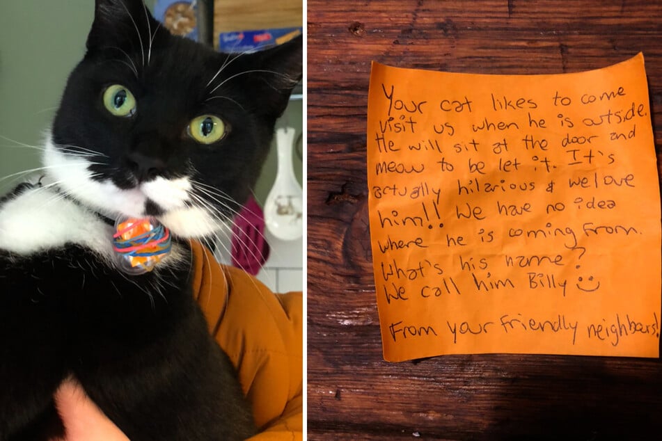 Billy became a letter kitty when he brought home this note (r.) on his collar a few months ago.