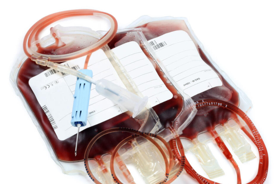 Auch Hunde können Blut spenden. (Symbolbild)