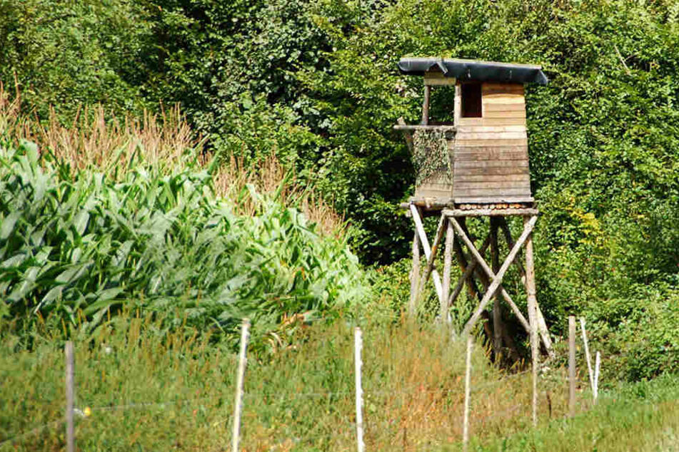Der Mann wurde in einem Waldstück zwischen Kaditzsch und Schkortitz gefunden.
