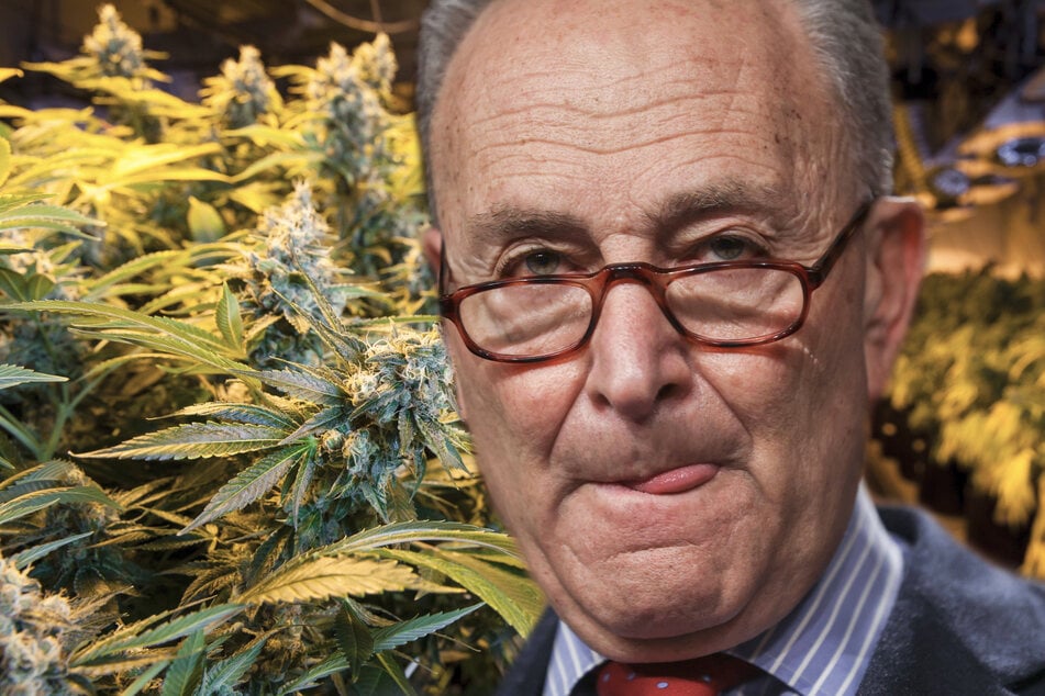 Senate Majority Leader Chuck Schumer is serious about pursuing federal marijuana reform (collage, stock image).