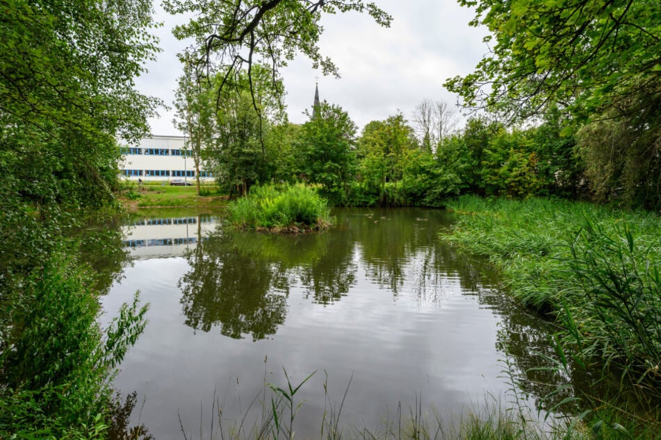 Der Rittergutspark soll bis 2027 auf Vordermann gebracht werden.