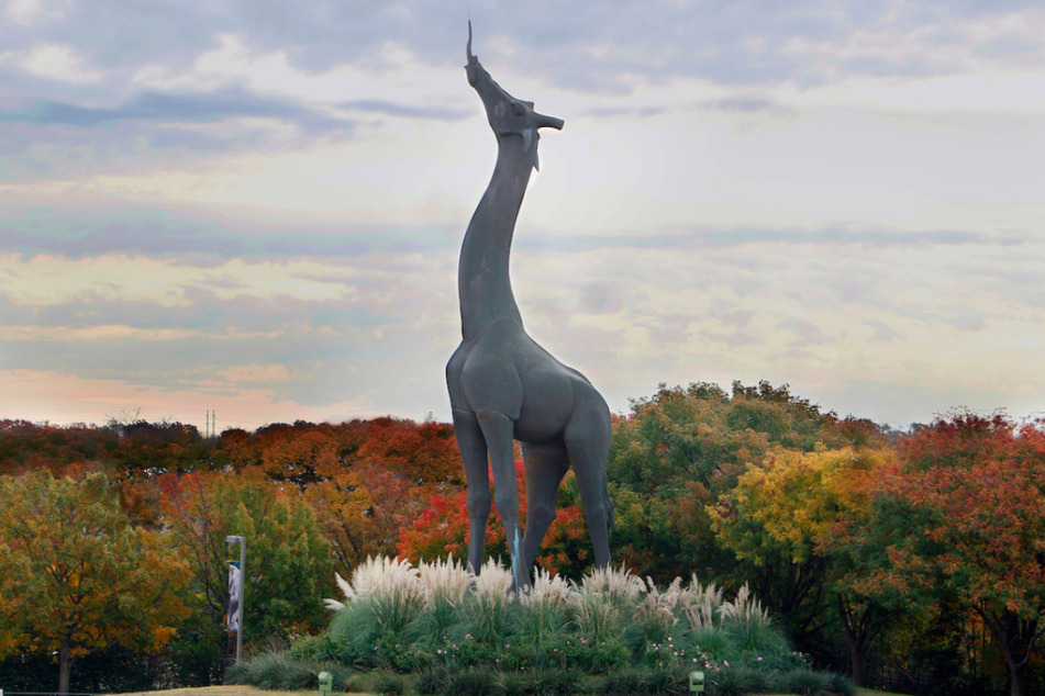 Over the last few weeks, the Dallas Zoo has been plagued by a string of strange events.