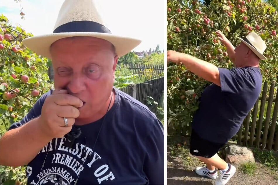 "Abschneiden!" Kleingartensheriff sagt Grenzüberschreitung den Kampf an