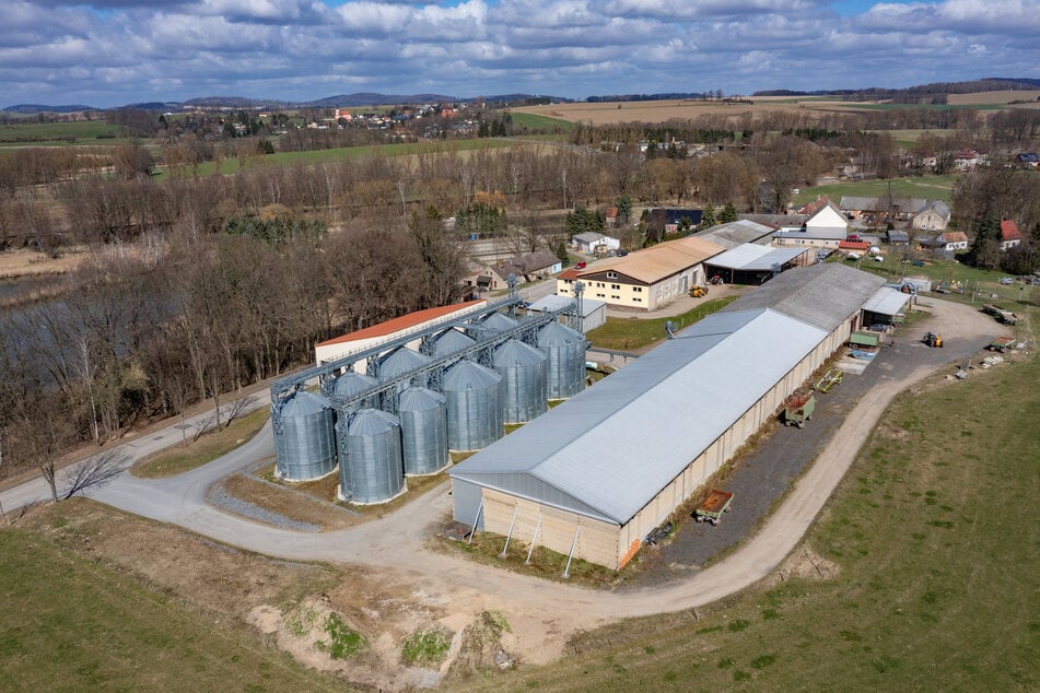 Die Großdrebnitzer Agrarbetriebsgesellschaft arbeitet nach den ökologischen Leitlinien des Bioland-Verbandes.