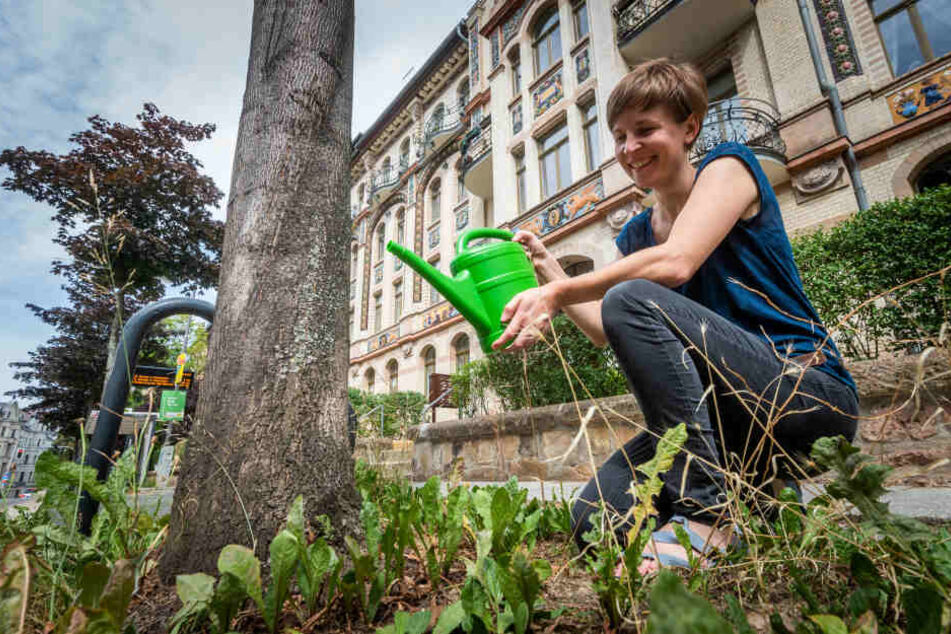 Auch Stadträtin und Kaßberg-Anwohnerin Susann Mäder (35, Grüne) ist beim Bäumegießen mit dabei.
