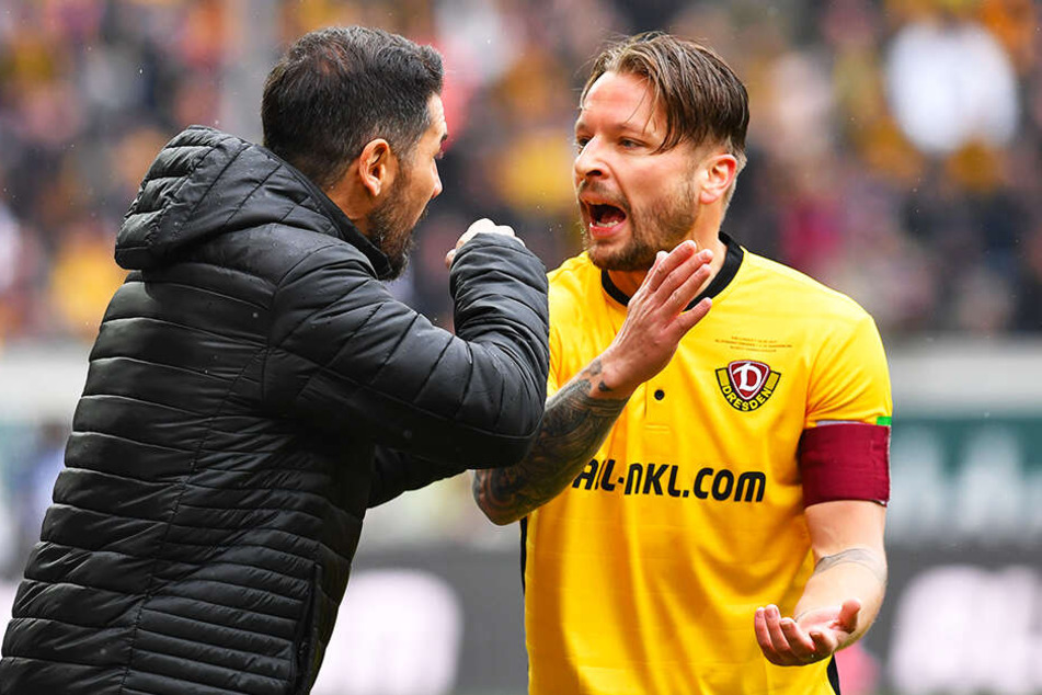 Dynamo-Trainer Cristian Fiel diskutierte beim Magdeburg-Spiel hitzig mit seinem Kapitän Patrick Ebert.