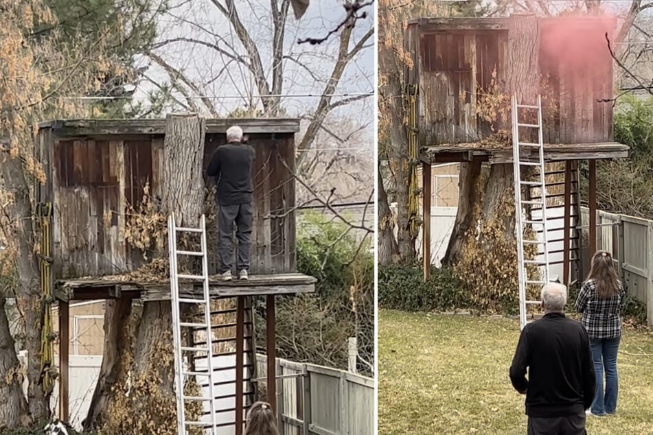 Der Anwohner wollte die vermeintlichen Waschbären mit Rauchbomben und Knallern aus dem Baumhaus vertreiben.