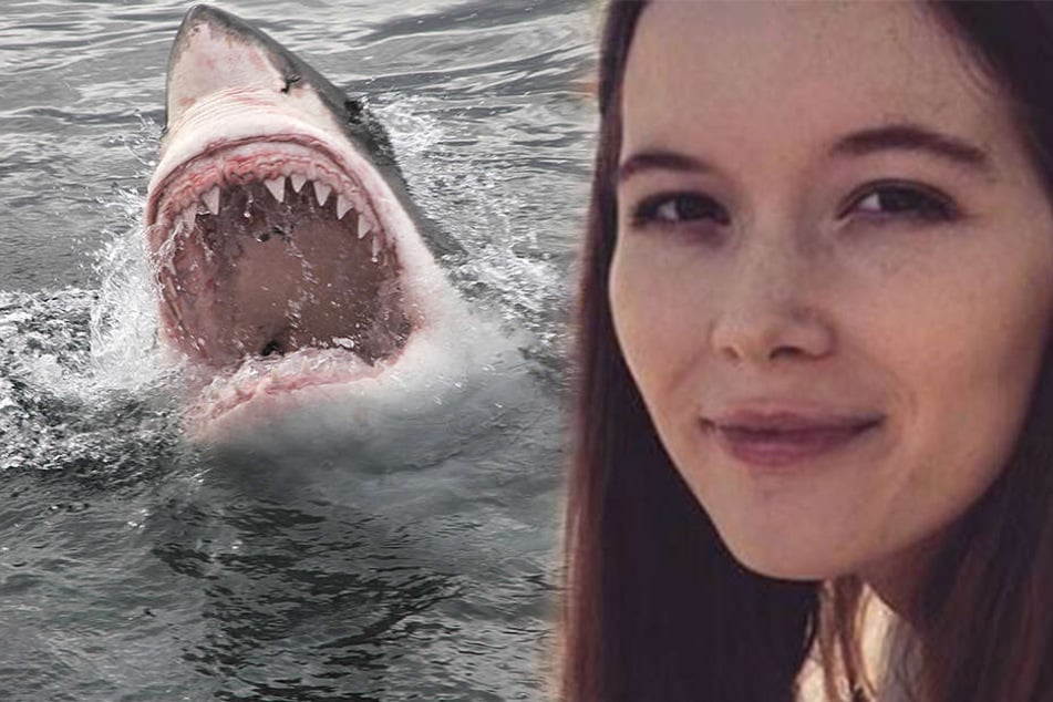 Tödlicher Haiangriff: Gleich drei Tiere gingen auf die junge Frau los