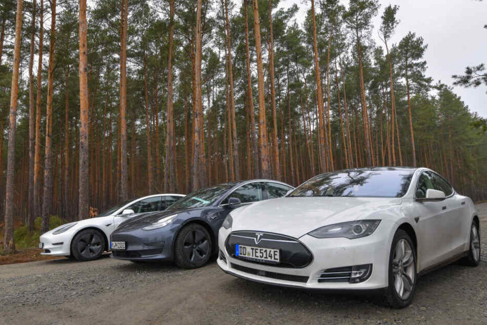 Elektroautos als Dienstwagen: Fahren Brandenburgs Politiker bald nur noch Tesla?