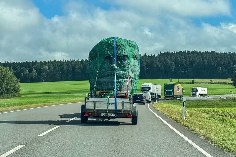 Sehr seltener Anblick auf der B 174: ein Reise-Nischel.